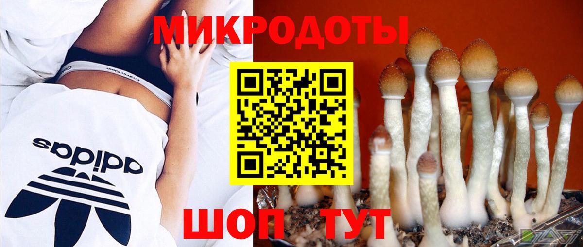 Псилоцибиновые грибы GOLDEN TEACHER  Вход с VPN  Новодвинск  Галлюциногенные грибы прущие грибы 