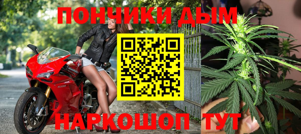 Шишки марихуана план Новодвинск